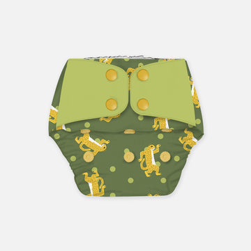 Disco Sheru - Regular Cloth Diapers with Soaker for 3month -3 years